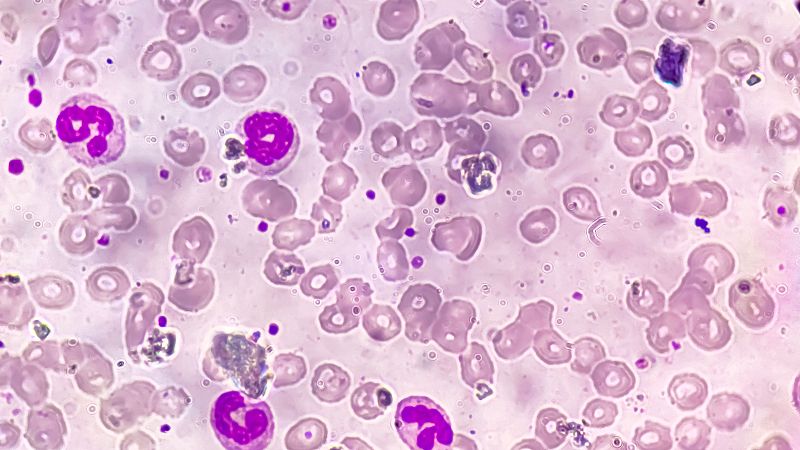 NeuMap, mapa pionero que redefine la visión de la inmunidad