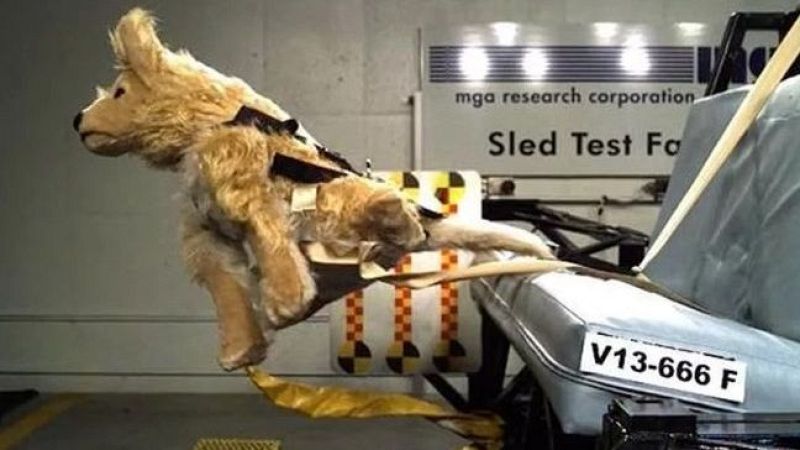 Seguridad vial en Radio 5 - Bienestar y seguridad de animales cuando viajamos - 14/12/25 - Escuchar ahora