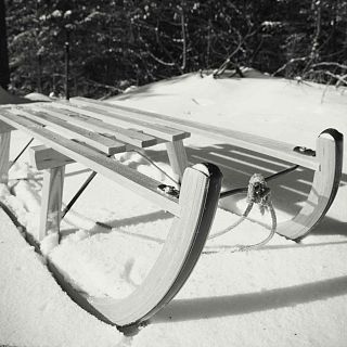 Aunque seas un tigre echa una mano