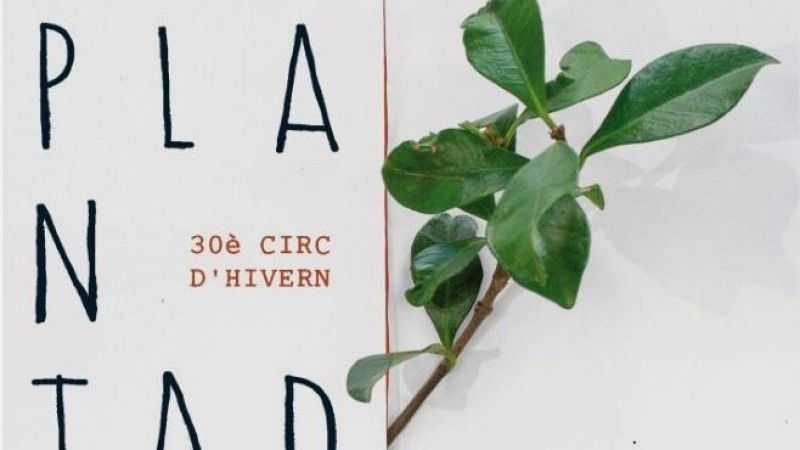 Les recomanacions culturals de M�nica Pab�n - S�n 4 dies | Escuchar