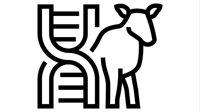 Reportajes Emisoras - Talavera - IEGRA, el Instituto ESpañol de Genétiva y Reproducción animal - 16/12/25 - Escuchar ahora