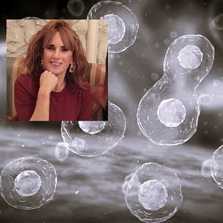 Regeneraci�n celular en humanos