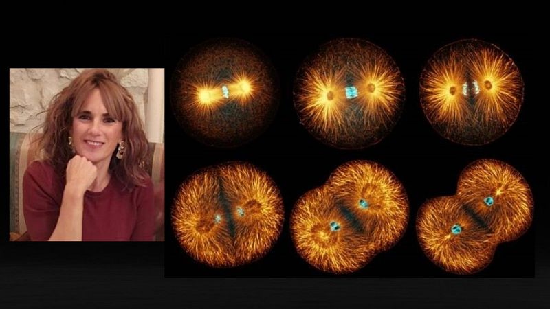 Regeneración celular en humanos - Escuchar ahora