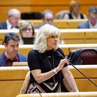 Caballero (UPN): "Cerd�n ha acudido a la Comisi�n de investigaci�n en un tono soberbio y desafiante"