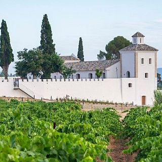 Visitamos un retiro exclusivo entre viñedos en Requena