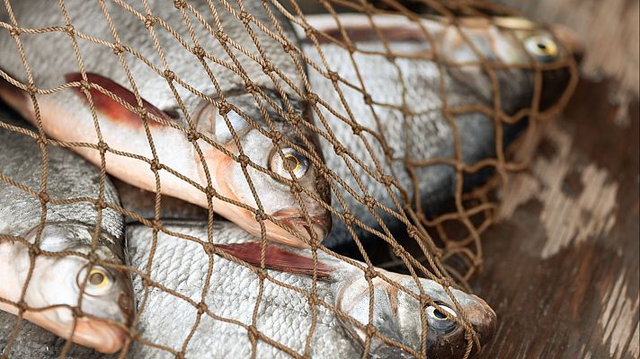 España, "campeón" en verificar las importaciones de pescado