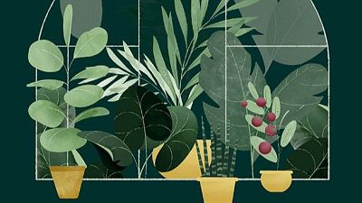 'Pregúntale a una planta', reconectar con el mundo vegetal