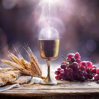 La tragedia de los buscadores del Grial