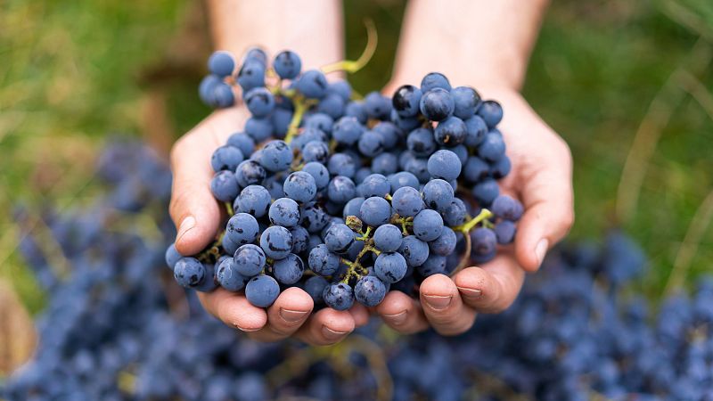 Despedimos 2025 con sabor, música y tradición - Celebrando España | Escuchar