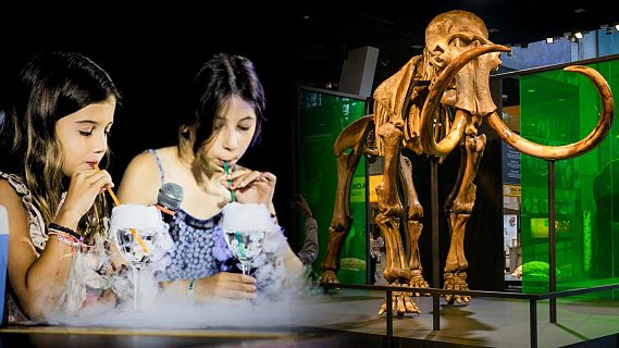 CosmoCaixa i CaixaForum aposten per la ci�ncia aquest Nadal