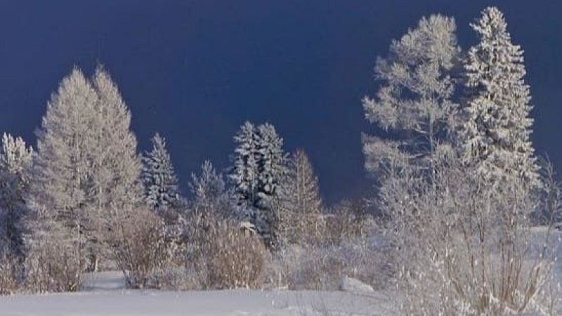 La soledad sonora - Ofrenda Musical - 23/12/25 - La soledad sonora | Escuchar