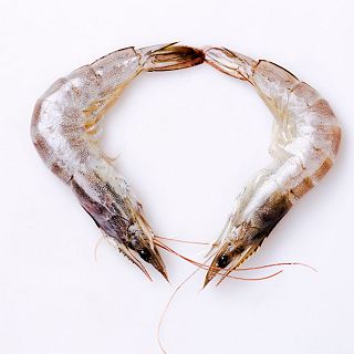 El coraz�n en la cabeza: secretos de la gamba