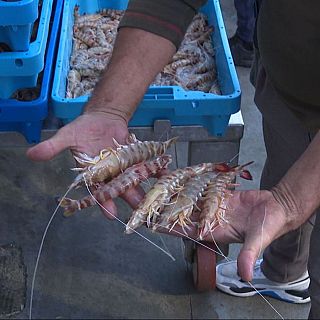 El langostino, el rey de las Navidades españolas