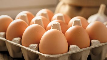 Els ous podrien tornar a encarir-se, segons Uni� de Pagesos