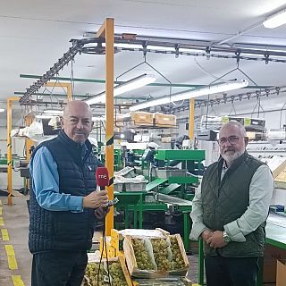 Cochinillo, uvas, turrón: los pueblos que alimentan la Navidad