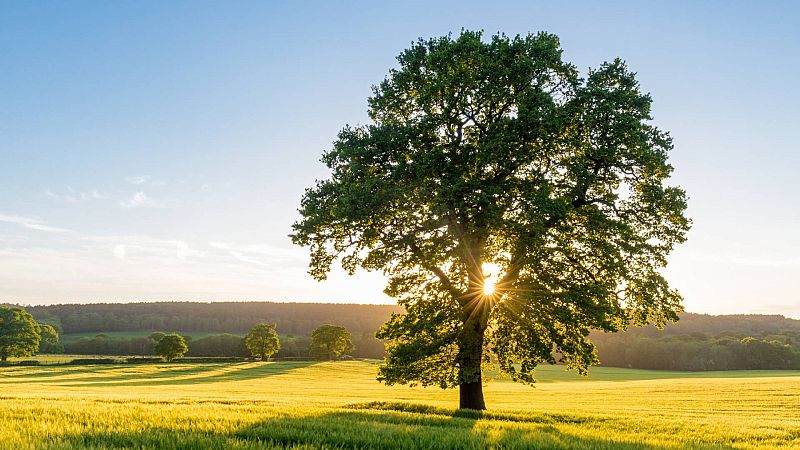 Espacio en blanco - El misterioso Darré - 28/12/25 - Espacio en blanco | Escuchar