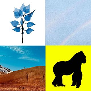 Resumen del año: Mayo-Junio 2025