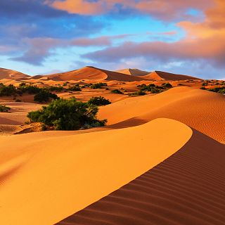 Sáhara: de región verde a desierto en 12.000 años