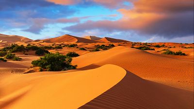 Sáhara, en 12.000 años de región verde a desierto