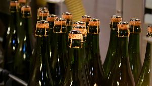 El sector del cava preveu vendre m�s de 218 milions d'ampolles