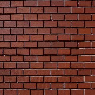 Sonidos opacos con brillo