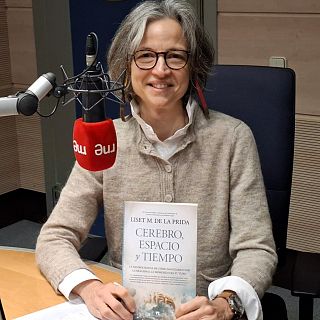 Un GPS cerebral para navegar por el espacio y el tiempo  y organizar los recuerdos