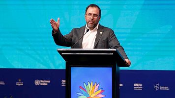 Yv�n Gil, ministro de Exteriores de Venezuela: "Han muerto civiles y profesionales militares"