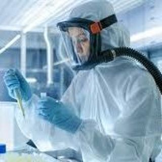 La evolució de la Pesta Porcina Africana