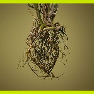 De cara a la galeria: L'art que cal veure al 2026