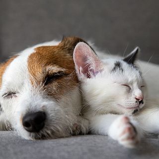 Murcia - No soy un juguete