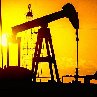 Els desconeguts actius econòmics de Veneçuela