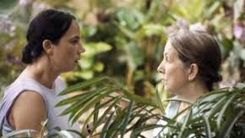 De cine - 'Querido tr�pico' candidata de Panam� al Goya Iberoamericano - 11/01/26 - Escuchar ahora