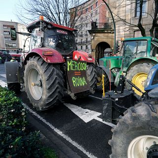 Presidente de UNASPI, sobre el acuerdo de Mercosur: "El sector va a desaparecer"