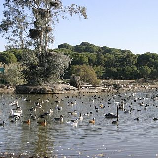 La Cañada de los Pájaros, la 1ª reserva natural concertada