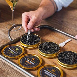 Teruel - Sarrión, "territorio gourmet"