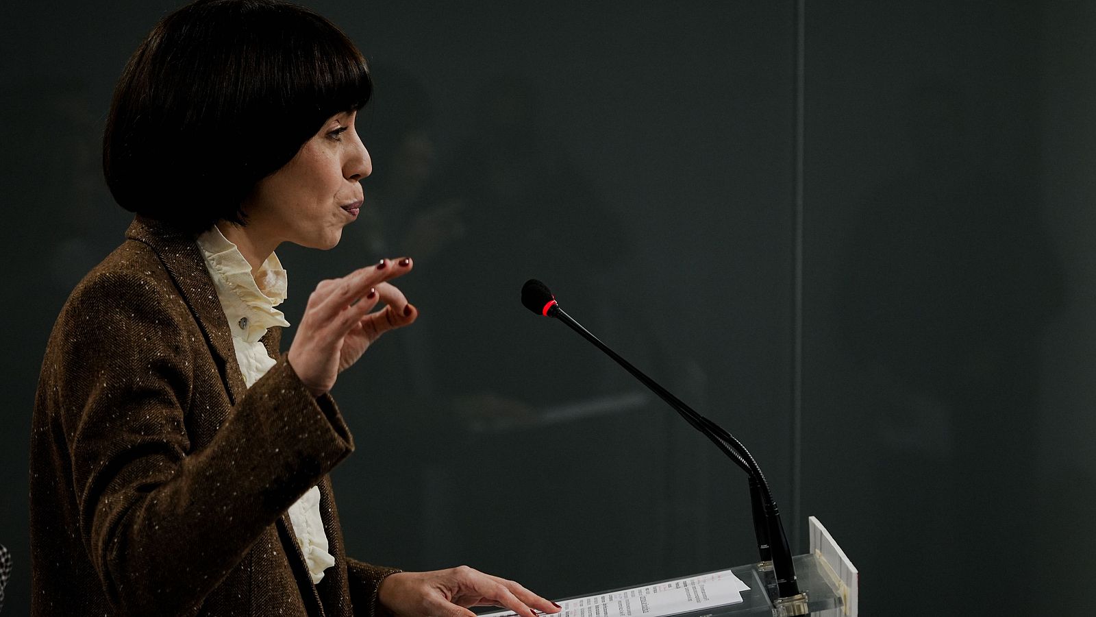 Diana Morant acusa a Feijóo de mentir sobre la DANA y exige su dimisión - 24 horas | Escuchar