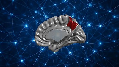 831: El prec�neo, rinc�n secreto de nuestra conciencia