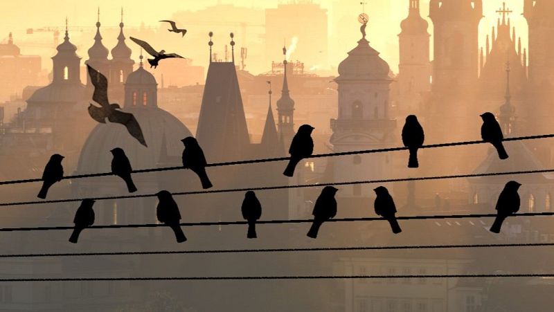 M�sica y significado - L. MOZART/ANGERER: Sinfon�a de los Juguetes - 10/01/26 - M�sica y significado | Escuchar