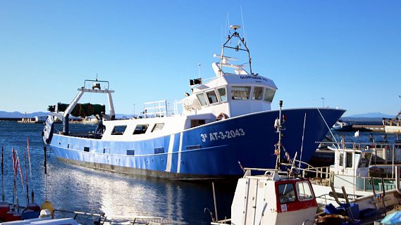 Fi de la veda de la pesca d'encerclament als ports gironins