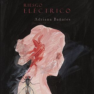 El 'Riesgo el�ctrico' de Adriana Ba�ares