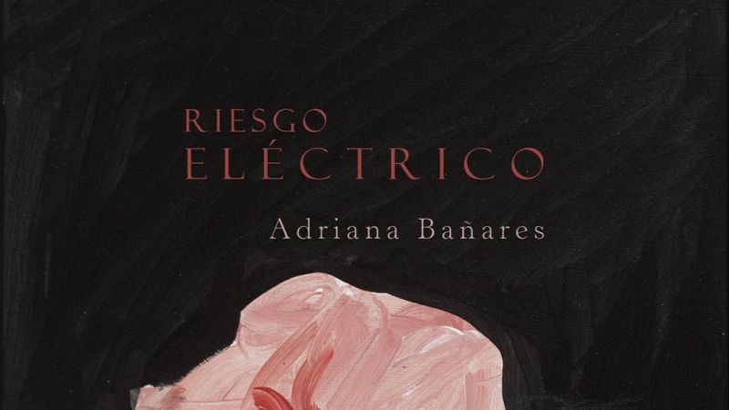 El Ojo Cr�tico - El Riesgo El�ctrico de Adriana Ba�ares - Escuchar ahora