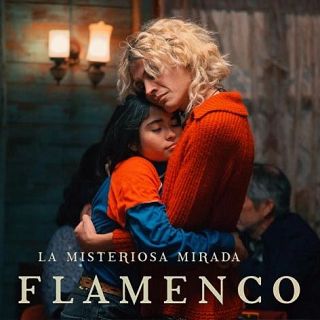 El director Diego Céspedes ens presenta 'La misteriosa mirada del flamenco'