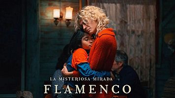 El director Diego C�spedes ens presenta 'La misteriosa mirada del flamenco'