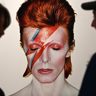 Bowie elefantástico