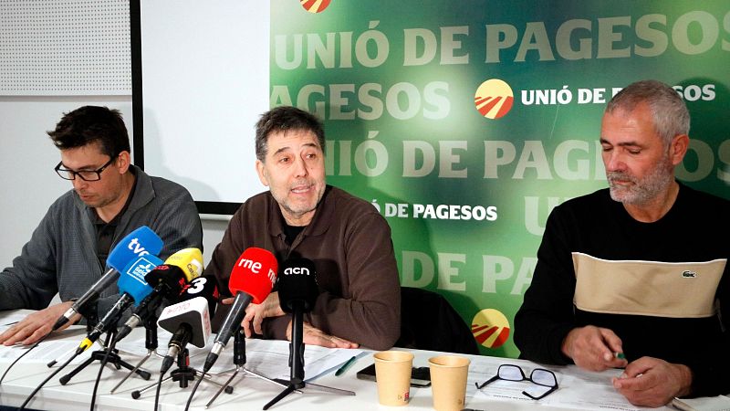 Pèrdues de 63 milions per la pesta porcina a Catalunya