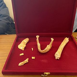 Hallan restos de un linaje africano previo al Homo sapiens