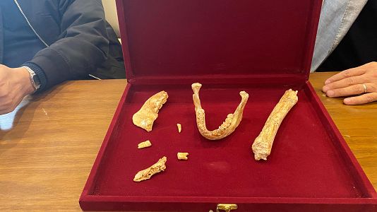 Hallan restos de un linaje africano previo al Homo sapiens