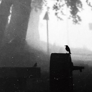 Otras canciones bonitas