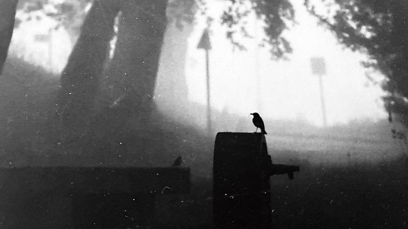 Músicas posibles - Otras canciones bonitas - 17/01/26 - Escuchar ahora