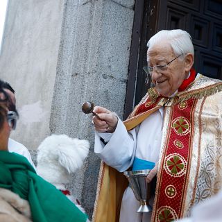 San Antón y Sant Antoni, una tradición que sigue viva